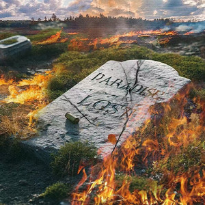 毛茸茸的大骚屄视频
