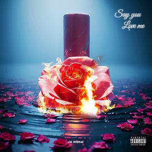 毛茸茸的大骚屄视频
