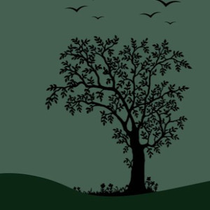 毛茸茸的大骚屄视频
