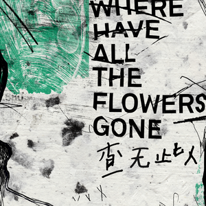 毛茸茸的大骚屄视频
