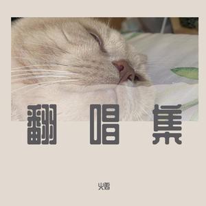 毛茸茸的大骚屄视频
