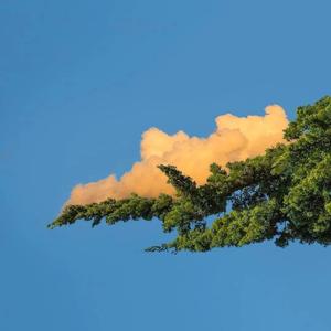 毛茸茸的大骚屄视频
