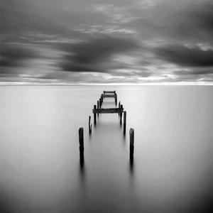 毛茸茸的大骚屄视频
