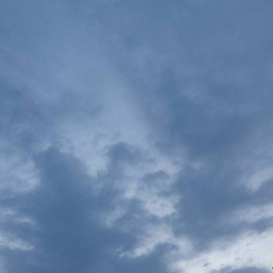 毛茸茸的大骚屄视频
